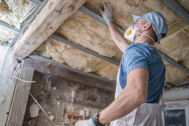 Best Insulation Installation Services in Du Quoin, IL