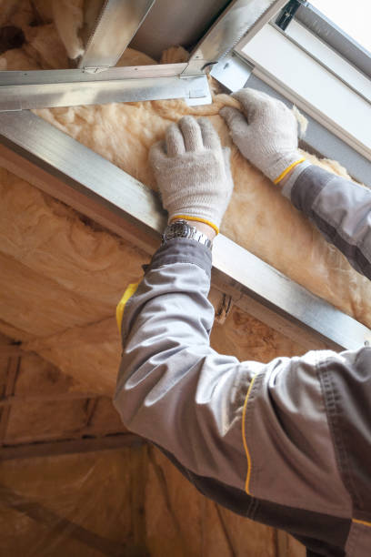 Best Energy Efficiency Solutions in Du Quoin, IL