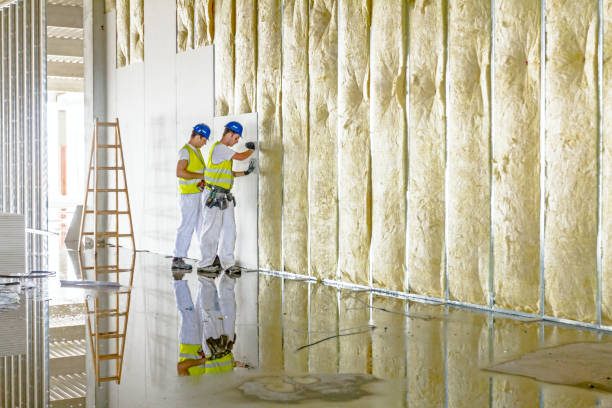Best Types of Insulation in Du Quoin, IL